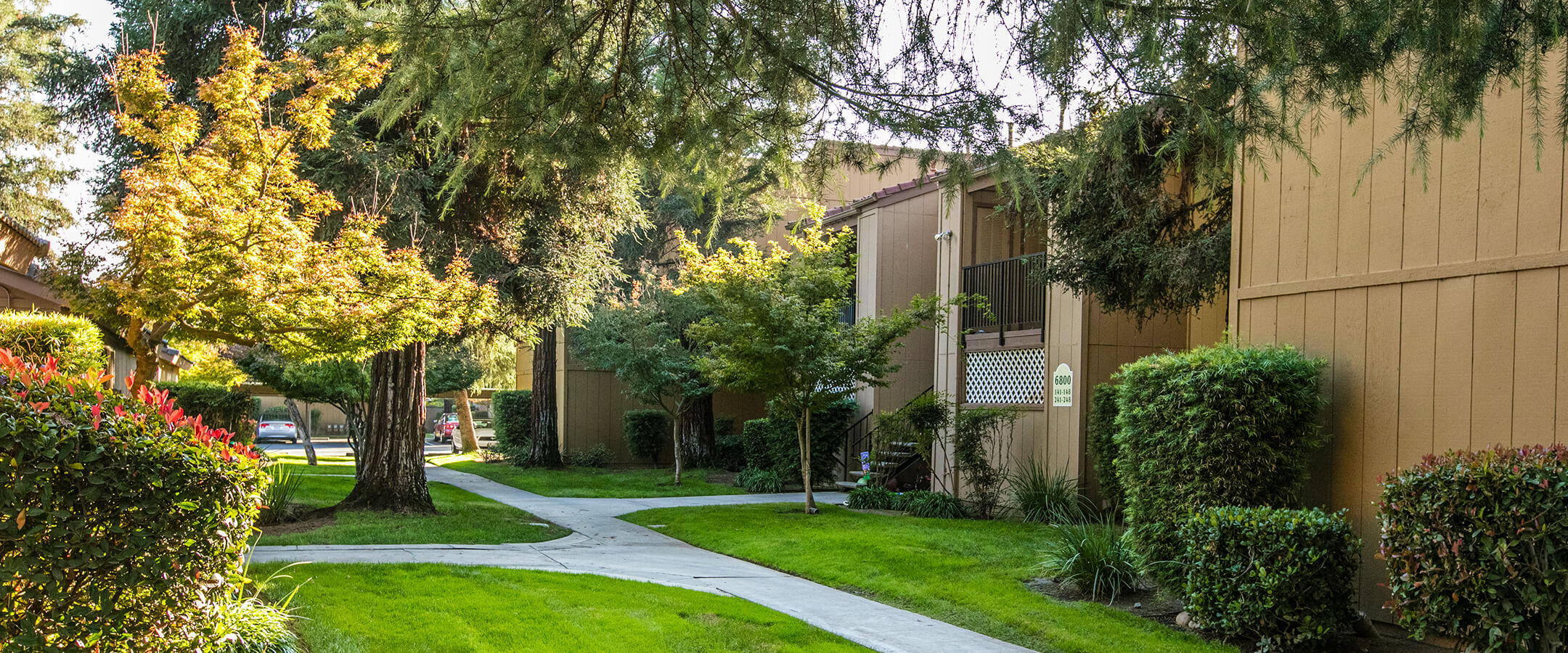 Pine Tree Village Apartments - Apartments in Fresno, CA